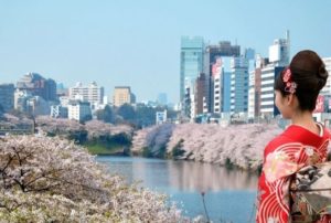 Les lieux incontournables durant vos vacances au Japon